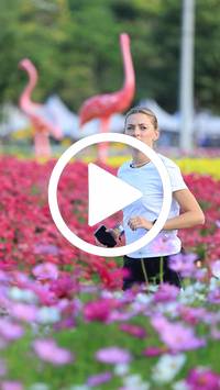 BIB:  <button type="button" onclick="openModal(27583188)" class="btn btn-primary btn-sm float-right" data-toggle="modal" data-target=".modal-high-quality">
                <i class="fa fa-download"></i> Download
                </button>